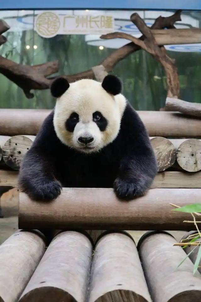 寇恩峰律师